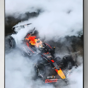 F1 poster